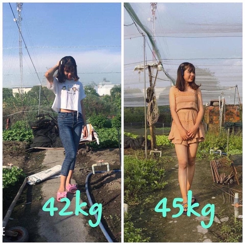 TĂNG CÂN THẢO MỘC  CHÍNH HÃNG