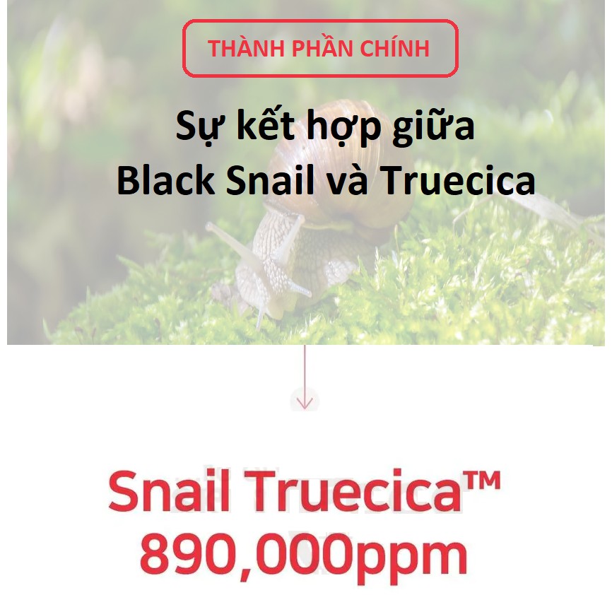 Tinh Chất Ốc Sên Phục Hồi Cải Thiện Some By Mi Snail Truecica Miracle Repair Serum 50ml