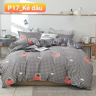 Bộ chăn ga gối Cotton Poly