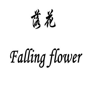 FF-giày thể thao, dép lê, dép