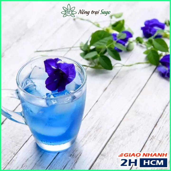 Hạt giống Hoa Đậu Biếc Dễ Chăm Sóc, Hoa Nở Liên Tục, Trồng Được Quanh Năm (gói 2 gr) - Nông Trại Sago