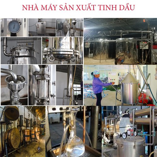 Tinh dầu quế nguyên chất chai 100ml