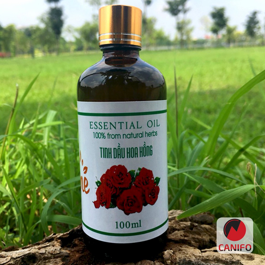 Tinh dầu hoa hồng Canifo 100ml nguyên chất, Hoa hồng tự nhiên cao cấp, Lọ tinh dầu hoa hồng treo xe oto