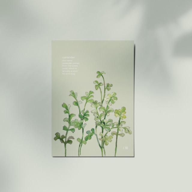 Thiệp Ôm - Ngò Rí | Card - Coriander