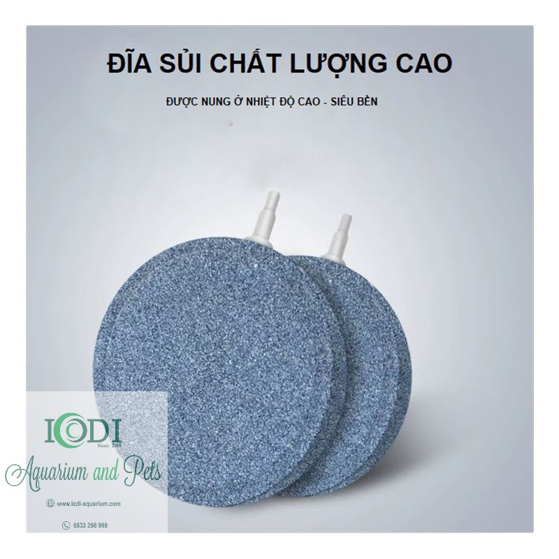 Đĩa sủi oxy cho bể cá cảnh - bể thủy sinh