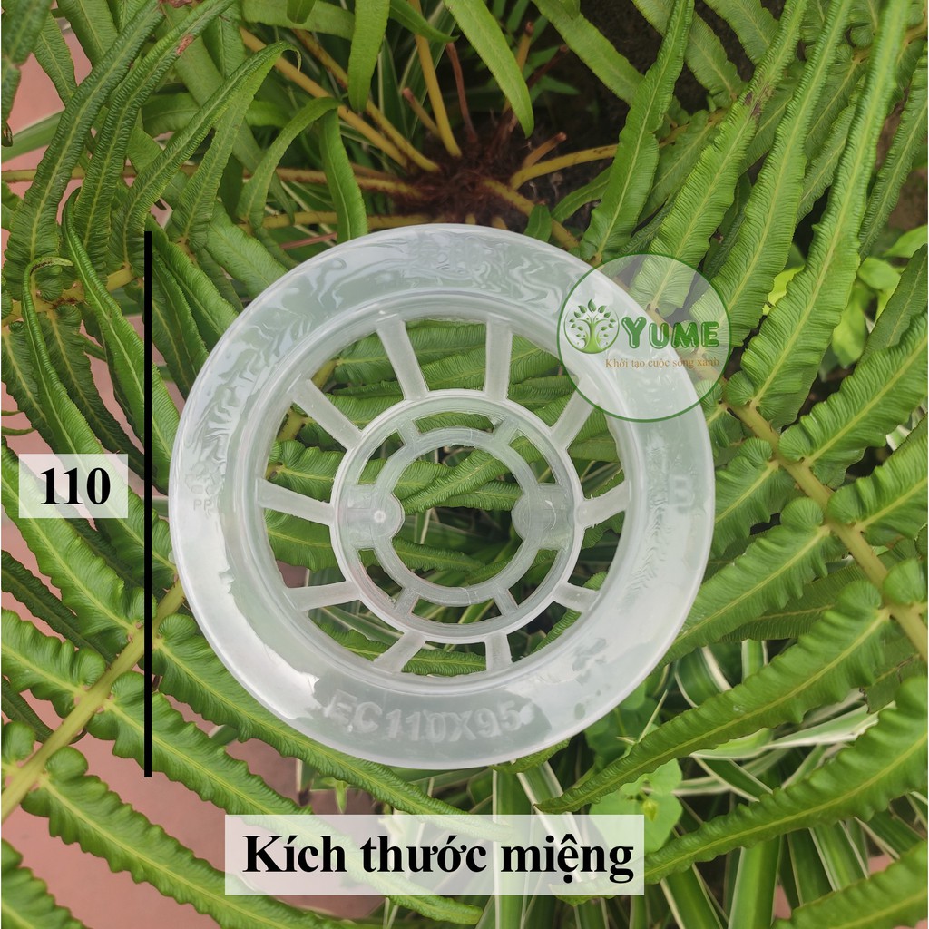 Rọ trồng cây thủy sinh thủy canh bền đẹp