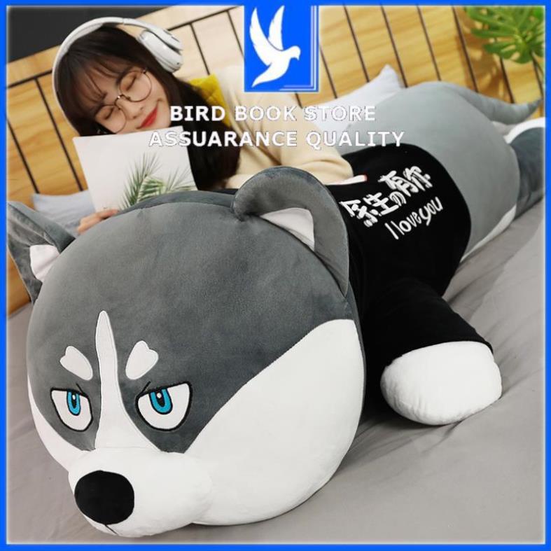 Gối ôm Gấu bông to chó HUSKY mèo ALASKA nhung mịn , đàn hồi tốt - Chó bông to ôm ngủ Bird book