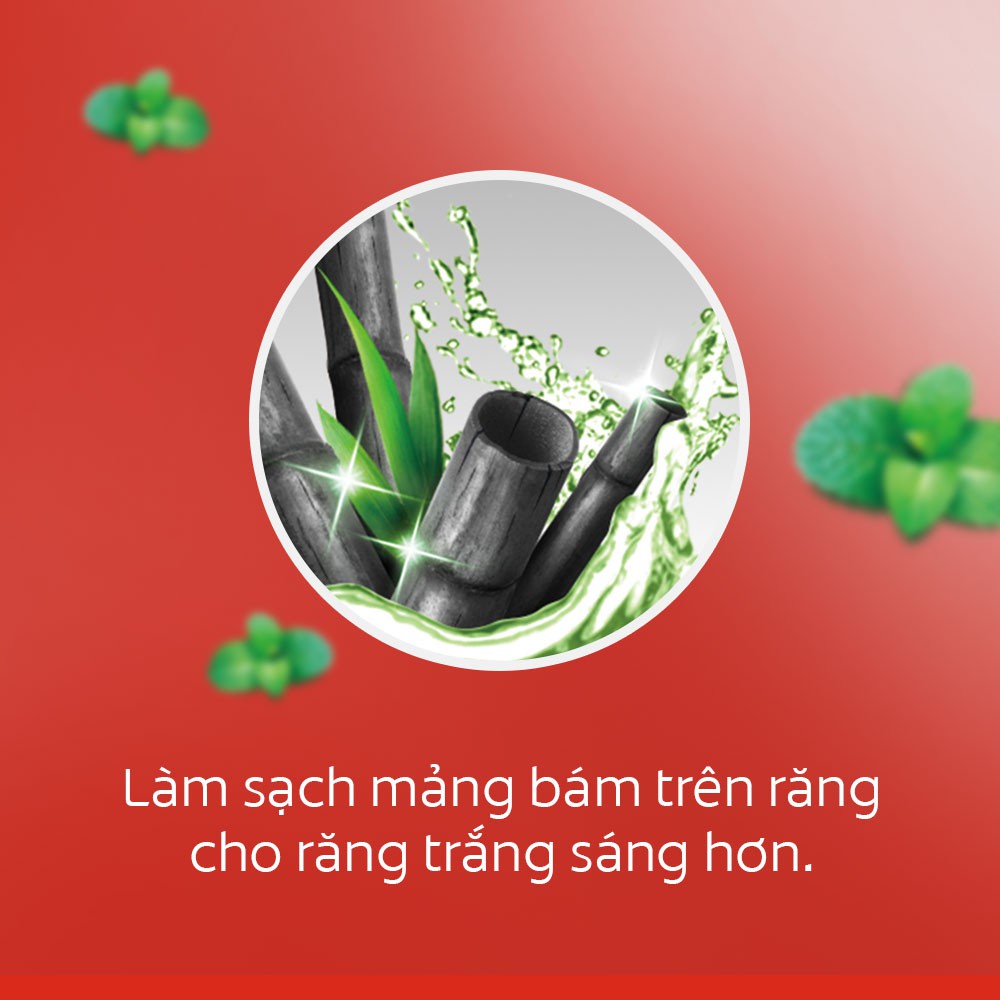 Bộ 6 Kem đánh răng Colgate thiên nhiên từ Than tre Hàn Quốc &amp; bạc hà 180g