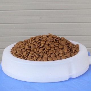 [400gr zin] Hạt Catsrang Cho Mèo Con và Mèo Lớn🐱🐱🐱