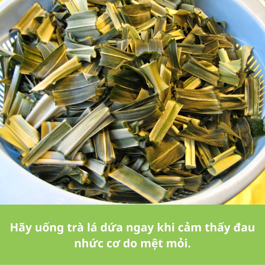 ✅ Lá Dứa Khô 100gr Tự Nhiên Lá Nếp Thơm Sạch Ngon