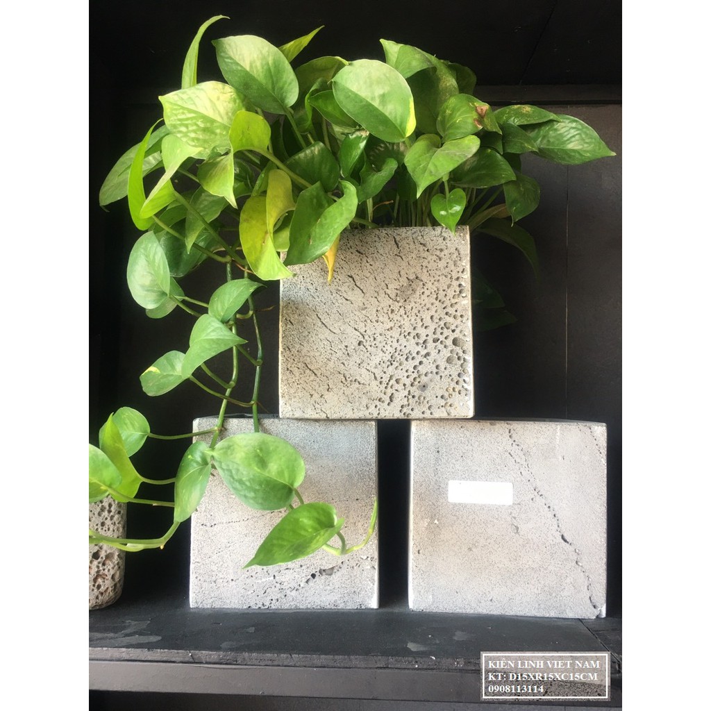 Chậu trồng cây treo ban công, chậu treo tường trồng cây xanh hình vuông 15cm bằng đá tự nhiên đẹp độc đáo