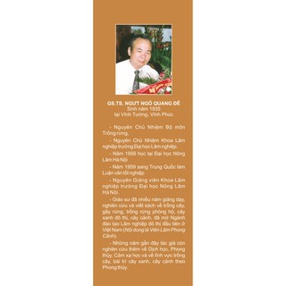 Thực Vật Và Ứng Dụng Thực Vật Trong Phong Thủy