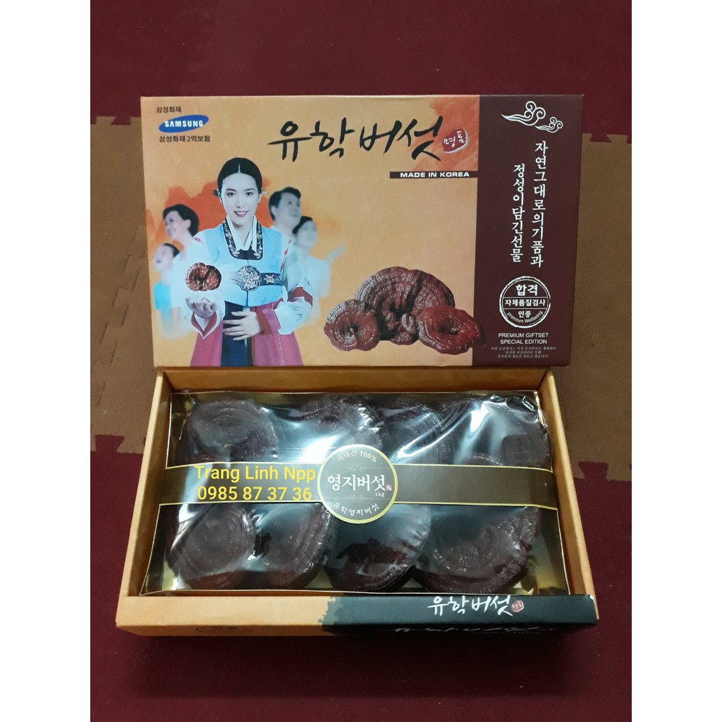 Nấm linh chi hàn quốc cao cấp - Nấm hộp cô gái 1kg, tranglinh | BigBuy360 - bigbuy360.vn