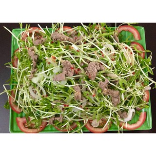 Hạt giống rau cải mầm