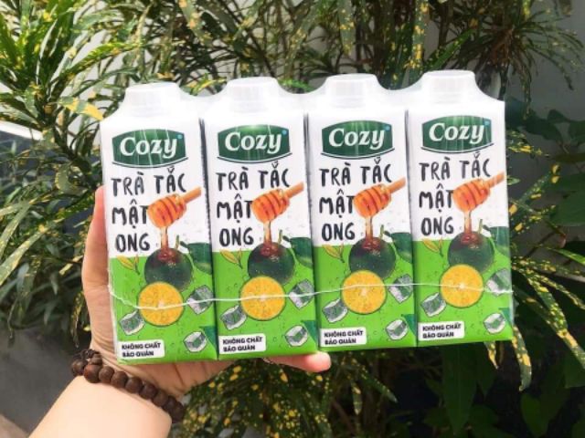 Trà Tắc Mật Ong Cozy (+ Quà tặng khi mua 1 thùng 24 hộp)