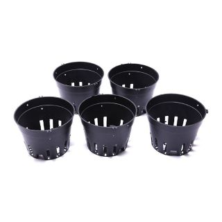 Chậu nhựa trồng lan f12 ( 100 chậu)