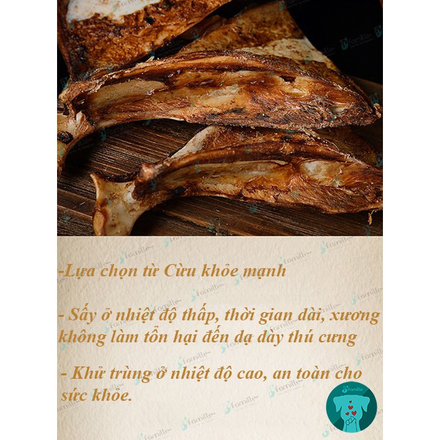 Xương Gặm Mài Răng Cho Chó JFamille, Xương Bay Cho Chó, Pet Snack Bổ Sung Canxi, Dinh Dưỡng - JF38