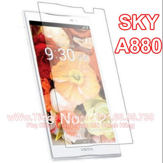 Kính cường lực Sky A880/ Vega LTE