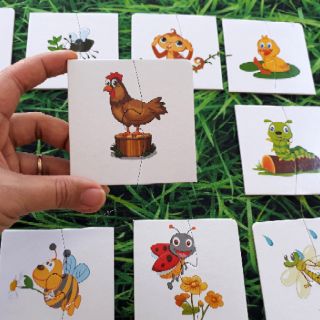GHÉP HÌNH 2 MẢNH & TÌM BÓNG CON VẬT