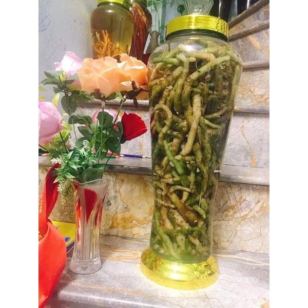 1kg Rễ Tứn khửn tươi - Lai Châu