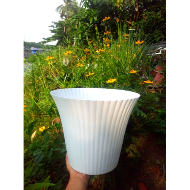 Chậu nhựa loa kèn trắng 28cm×25cm