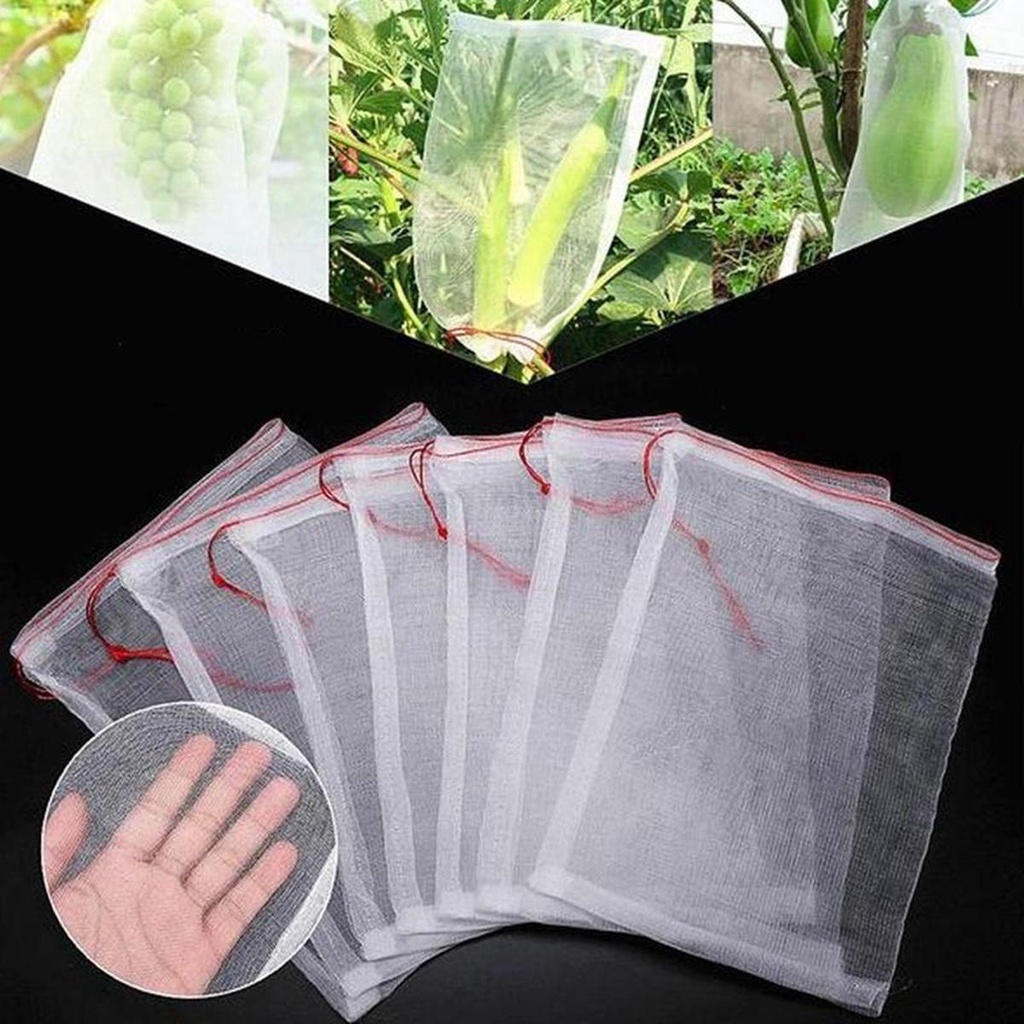Túi Nylon Dây Rút Malcom Bảo Vệ Hạt Giống Chống Côn Trùng Đa Năng
