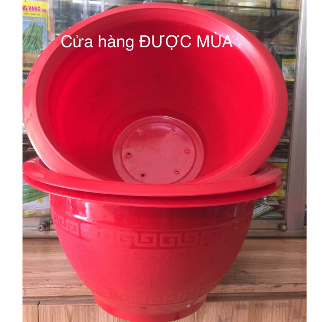 Combo 3 chậu truyền thống đk 47cm