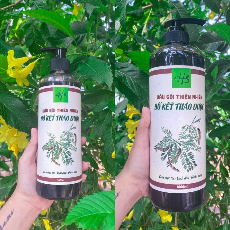 Dầu Gội Thiên Nhiên Bồ Kết Thảo Dược Cô Đặc Handmade - Kích Tóc Nhanh Dài Sạch Gàu Giảm Rụng