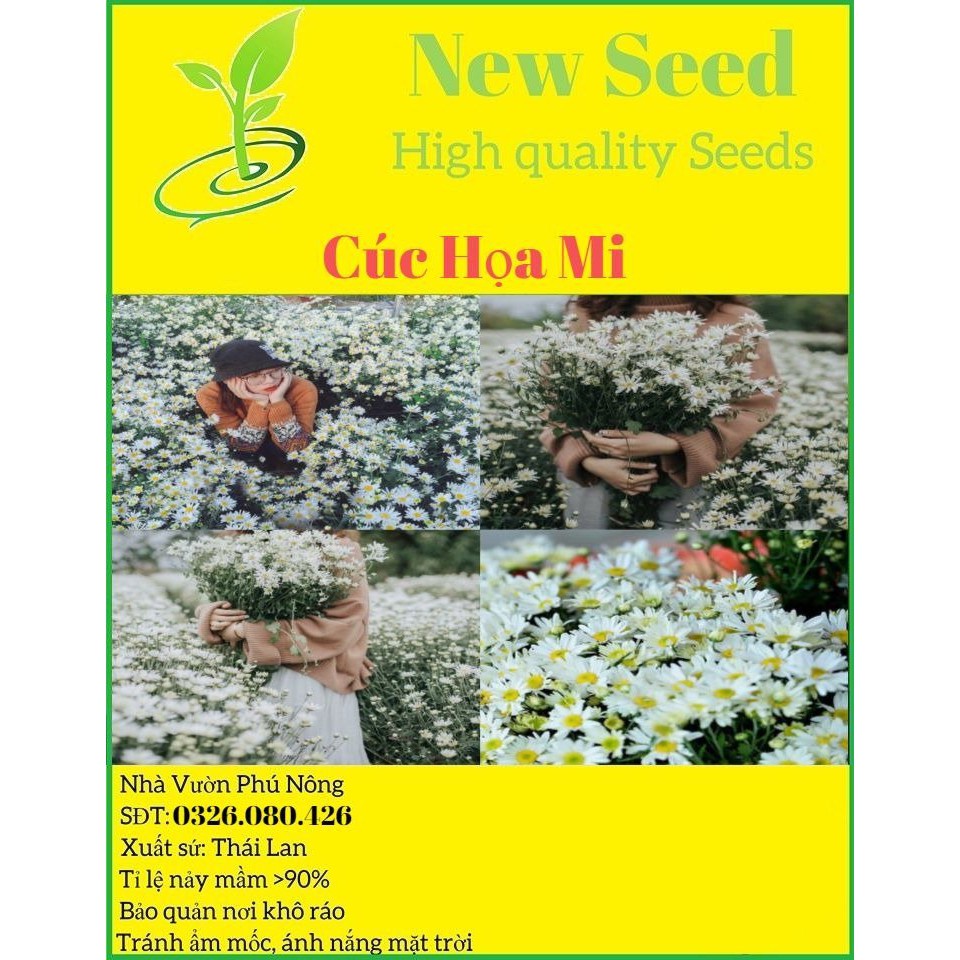 Hạt Giống Hoa Cúc Họa Mi F1 Loại Siêu Dễ Trồng Hoa Nở Đẹp Kháng Sâu Bệnh [ gói 50gram,100gram,200gram ]