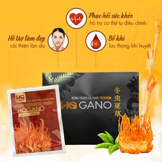 Đông Trùng Hạ Thảo HQGANO