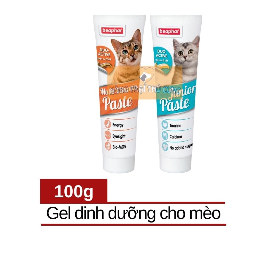 Gel Dinh Dưỡng Beaphar Cho Mèo 100g (Nhập Khẩu Hà Lan)
