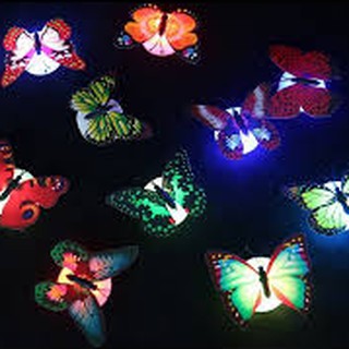 Set 5 Đèn Led Con Bướm Trang Trí Cực Đẹp