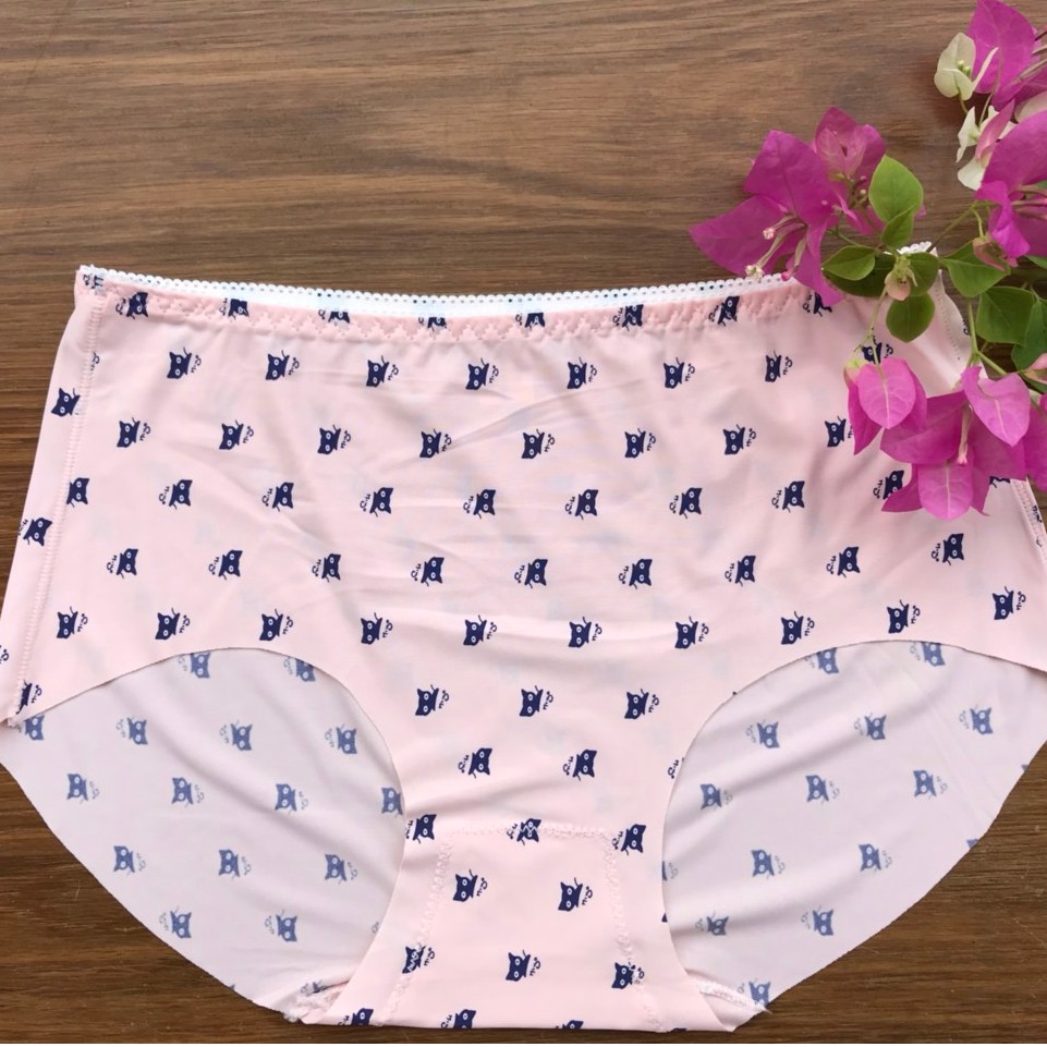 Quần lót đúc cute túi zip cao cấpfom 40-55kg