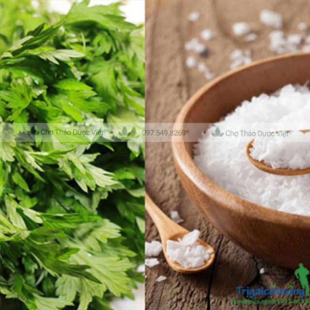 Ngải cứu khô, thơm, nguyên lá 500g - Chợ Thảo Dược Việt