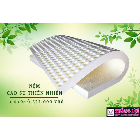NỆM CAO SU THIÊN NHIÊN 100% ⚡Flashsale 50%⚡ - Đàn hồi tốt, êm ái, thoải mái Hàng nghìn lỗ thông hơi, thoáng mát