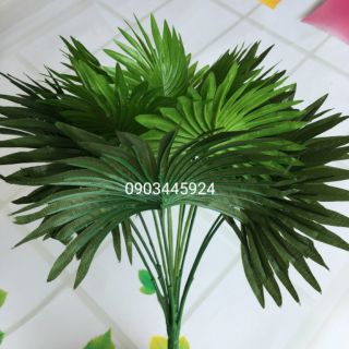 Cây Cọ Trang Trí cao 45cm- Cây Giả