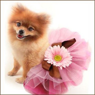Váy Tutu / Váy Tutu Cho Thú Cưng