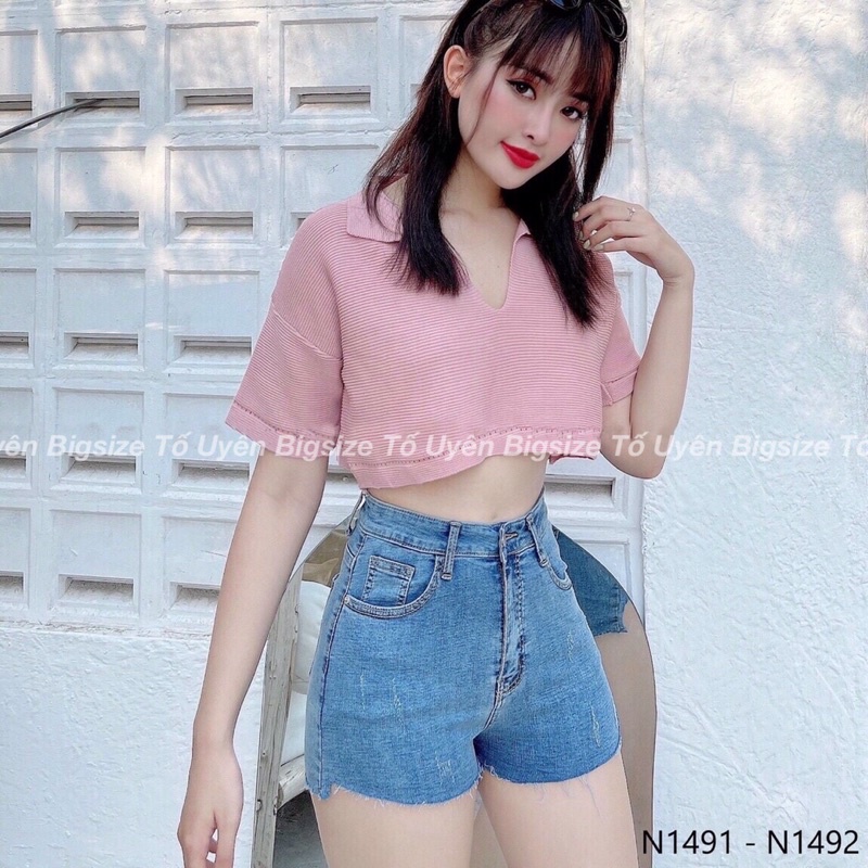 (T.U Bigsize 50-75kg) Áo Croptop Len Cổ V Vân Trơn Hàng QCCC | BigBuy360 - bigbuy360.vn