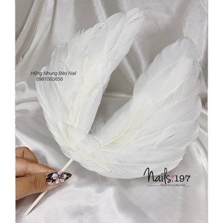 Phụ Kiện Chụp Ảnh Tay Xinh