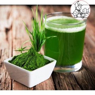 HẠT MẦM LÚA MẠCH - GÓI 100 GRAM