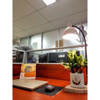 Đèn bàn LED cảm ứng Rạng Đông RD-RL-60 8W 3 mức độ sáng