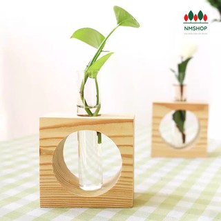 Chậu cây đế gỗ hình vuông 1 ống thủy tinh đựng cây thủy sinh