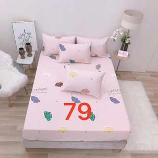 BỘ CHĂN GA GỐI (4 MÓN) CHẤT COTTON LỤA