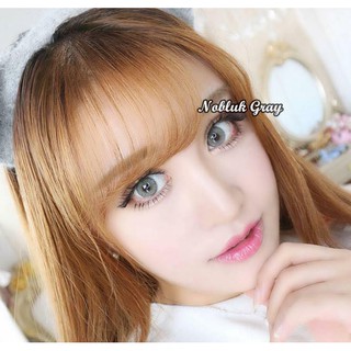 Lens Hàn Nobluk gray