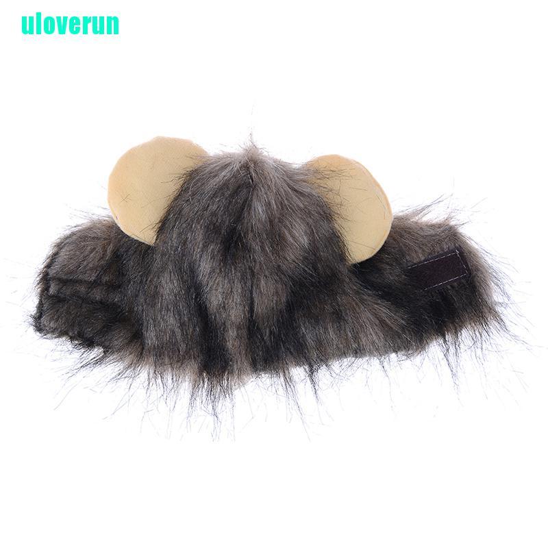 Bộ Tóc Giả Hóa Trang Sư Tử Đáng Yêu Cho Thú Cưng Dịp halloween