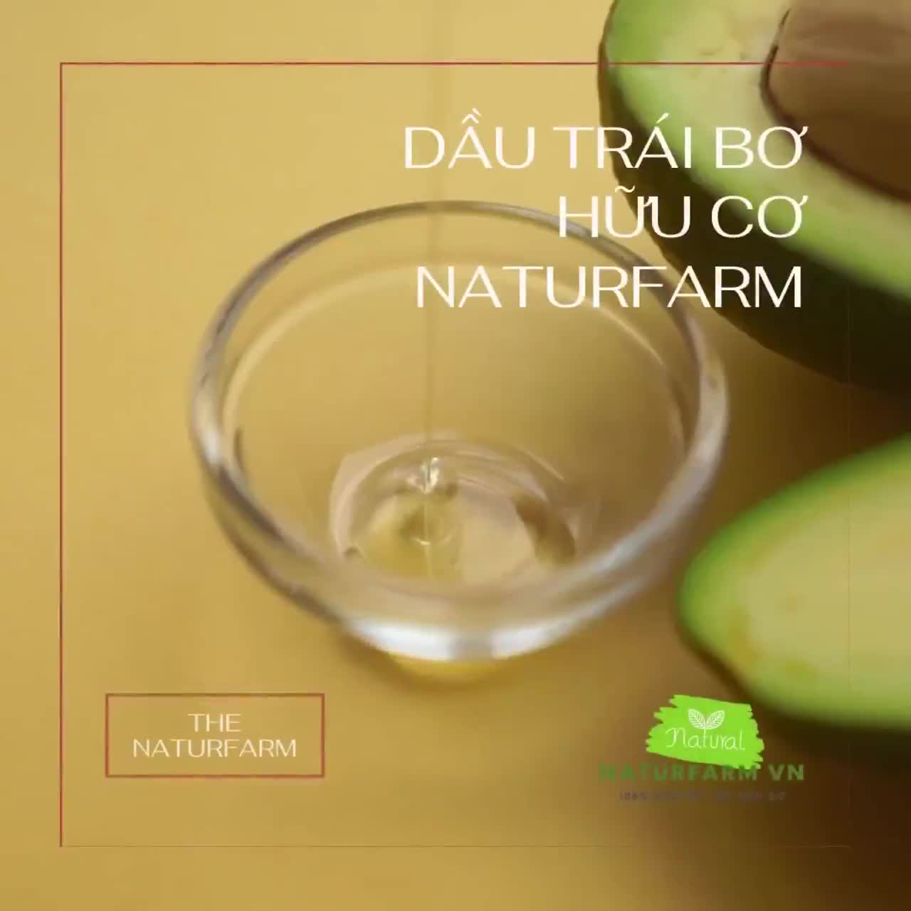 Dầu trái bơ hữu cơ ( Avocado Oil ) Tinh chất bơ siêu dưỡng da 100% Organic | BigBuy360 - bigbuy360.vn