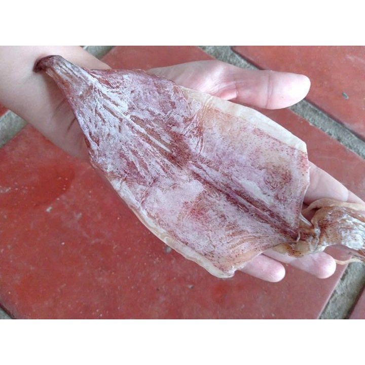 [ Cực Ngọt ] 0.5 Kg Mực Câu Khô Vân Đồn Size 30-35 Con/1Kg, Y Hình | BigBuy360 - bigbuy360.vn