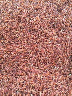 Bột ngũ cốc 7 loại hạt