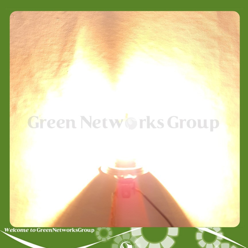 Bóng đèn pha Halogen Sun Shing chân H4 12V 35/35W Greennetworks