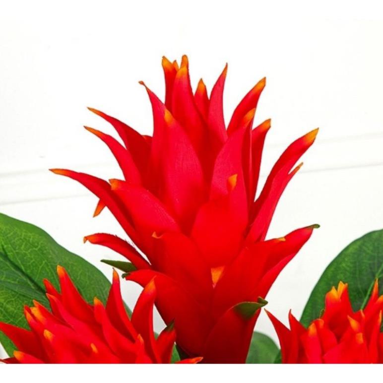 Cây Lan Đuốc 7 quả, cao 1,6m giả cảnh trang trí